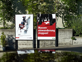 Immigrant cows climbing over our borders need to be stopped.