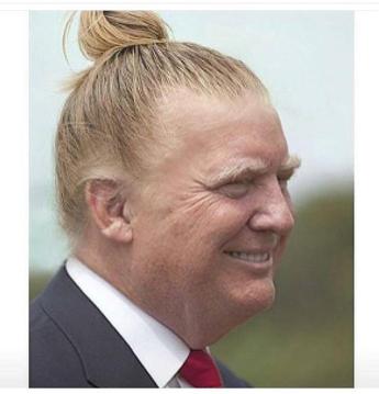 trump chignon
